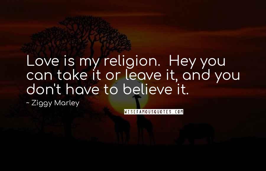 Ziggy Marley Quotes: Love is my religion. Hey you can take it or leave it, and you don't have to believe it.