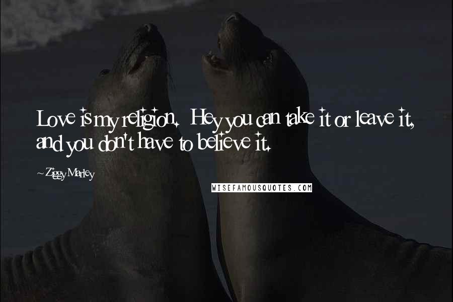 Ziggy Marley Quotes: Love is my religion.  Hey you can take it or leave it, and you don't have to believe it.