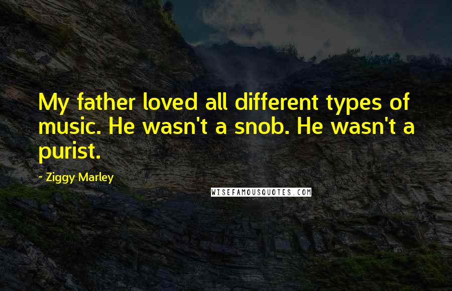 Ziggy Marley Quotes: My father loved all different types of music. He wasn't a snob. He wasn't a purist.