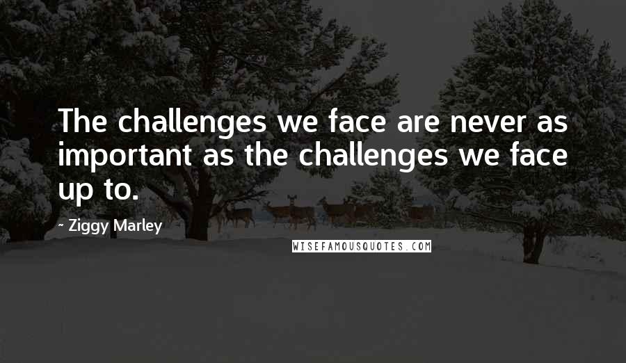 Ziggy Marley Quotes: The challenges we face are never as important as the challenges we face up to.