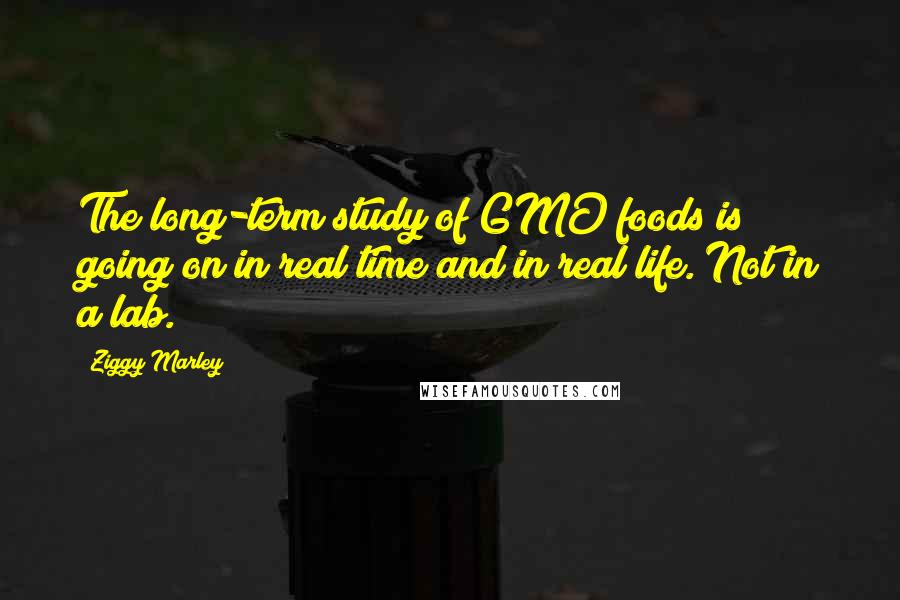 Ziggy Marley Quotes: The long-term study of GMO foods is going on in real time and in real life. Not in a lab.