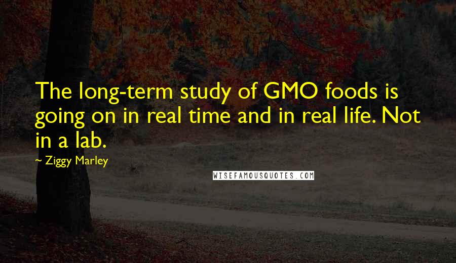 Ziggy Marley Quotes: The long-term study of GMO foods is going on in real time and in real life. Not in a lab.