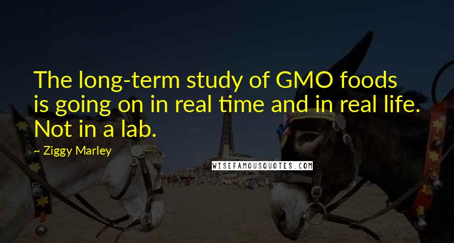 Ziggy Marley Quotes: The long-term study of GMO foods is going on in real time and in real life. Not in a lab.