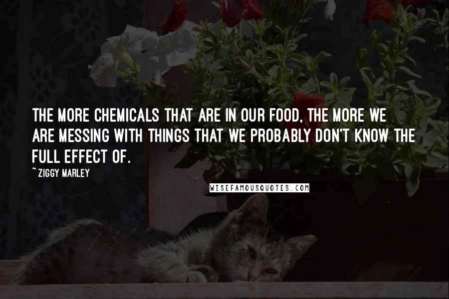 Ziggy Marley Quotes: The more chemicals that are in our food, the more we are messing with things that we probably don't know the full effect of.