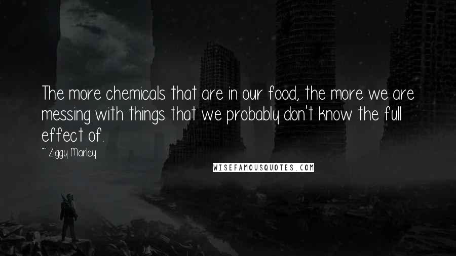 Ziggy Marley Quotes: The more chemicals that are in our food, the more we are messing with things that we probably don't know the full effect of.