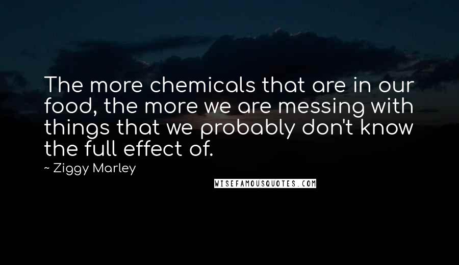 Ziggy Marley Quotes: The more chemicals that are in our food, the more we are messing with things that we probably don't know the full effect of.