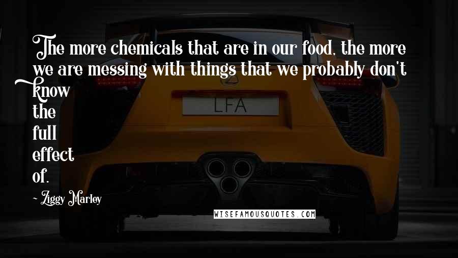 Ziggy Marley Quotes: The more chemicals that are in our food, the more we are messing with things that we probably don't know the full effect of.