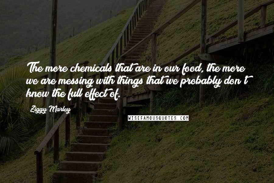 Ziggy Marley Quotes: The more chemicals that are in our food, the more we are messing with things that we probably don't know the full effect of.