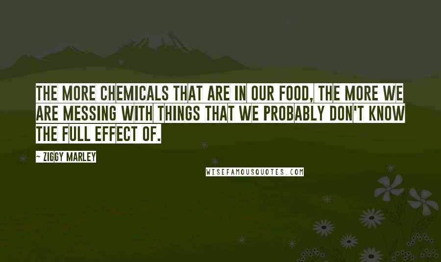 Ziggy Marley Quotes: The more chemicals that are in our food, the more we are messing with things that we probably don't know the full effect of.