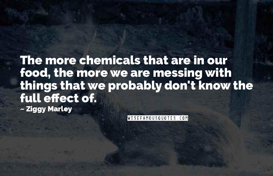 Ziggy Marley Quotes: The more chemicals that are in our food, the more we are messing with things that we probably don't know the full effect of.