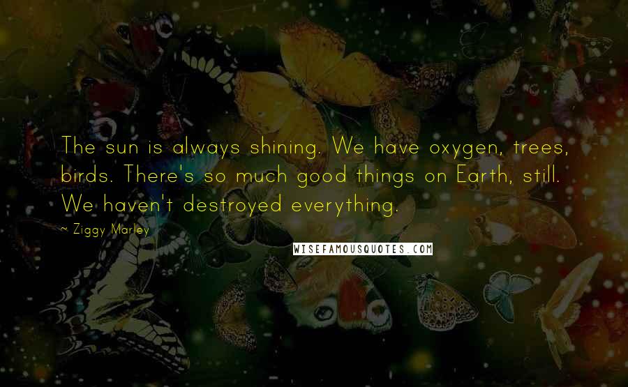 Ziggy Marley Quotes: The sun is always shining. We have oxygen, trees, birds. There's so much good things on Earth, still. We haven't destroyed everything.