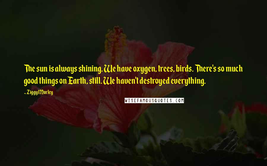 Ziggy Marley Quotes: The sun is always shining. We have oxygen, trees, birds. There's so much good things on Earth, still. We haven't destroyed everything.