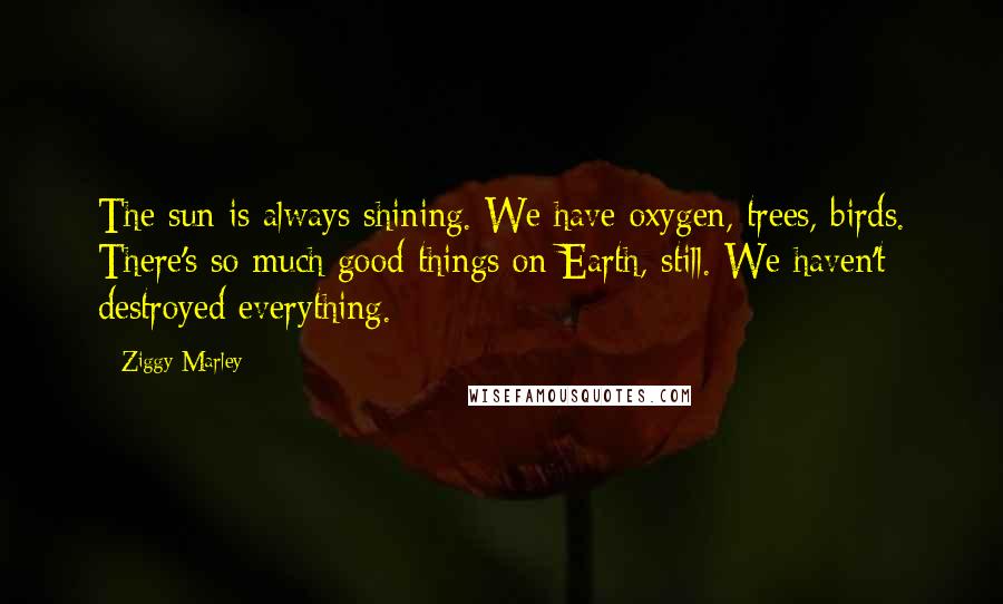 Ziggy Marley Quotes: The sun is always shining. We have oxygen, trees, birds. There's so much good things on Earth, still. We haven't destroyed everything.