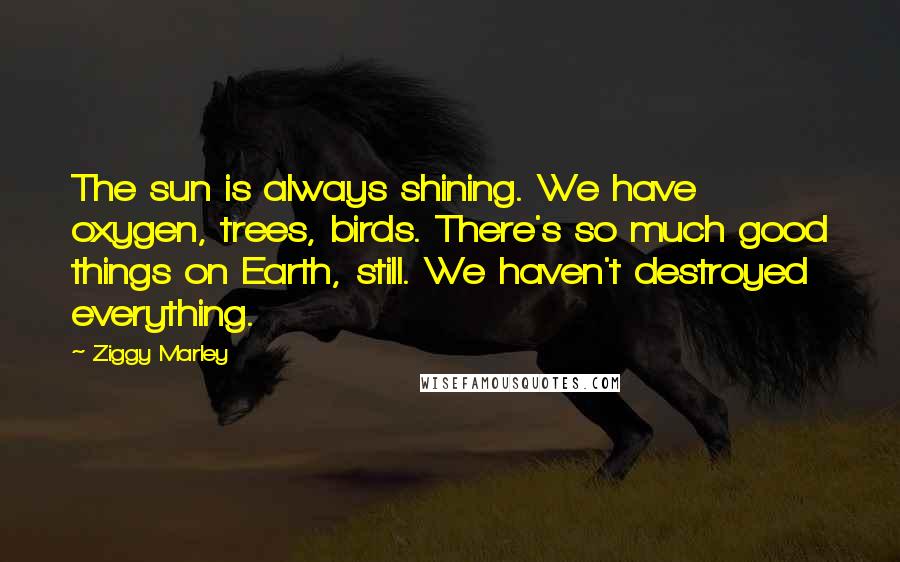 Ziggy Marley Quotes: The sun is always shining. We have oxygen, trees, birds. There's so much good things on Earth, still. We haven't destroyed everything.