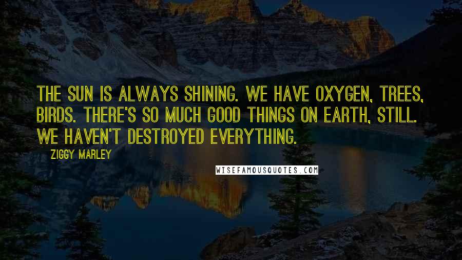 Ziggy Marley Quotes: The sun is always shining. We have oxygen, trees, birds. There's so much good things on Earth, still. We haven't destroyed everything.