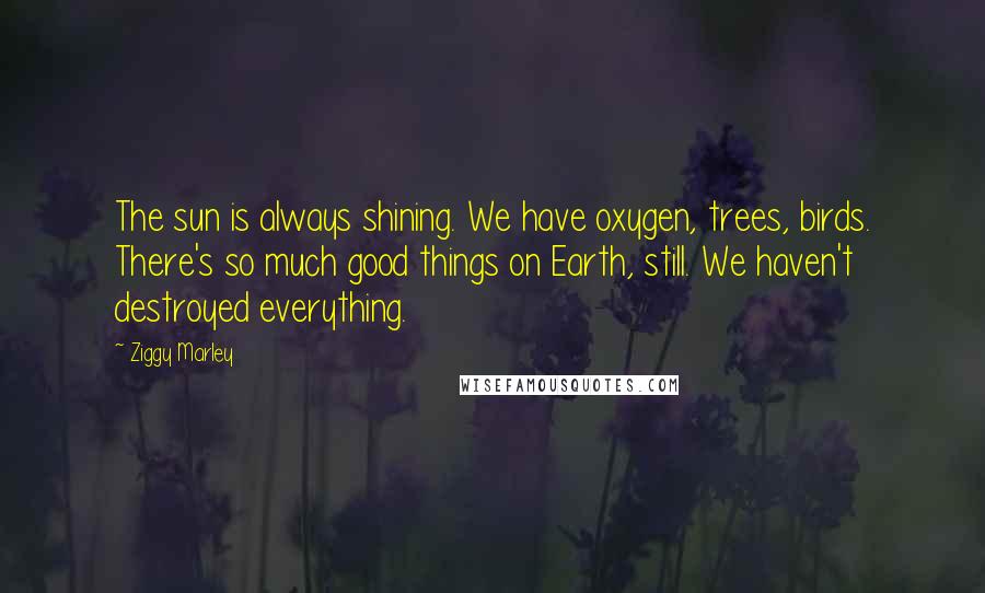 Ziggy Marley Quotes: The sun is always shining. We have oxygen, trees, birds. There's so much good things on Earth, still. We haven't destroyed everything.