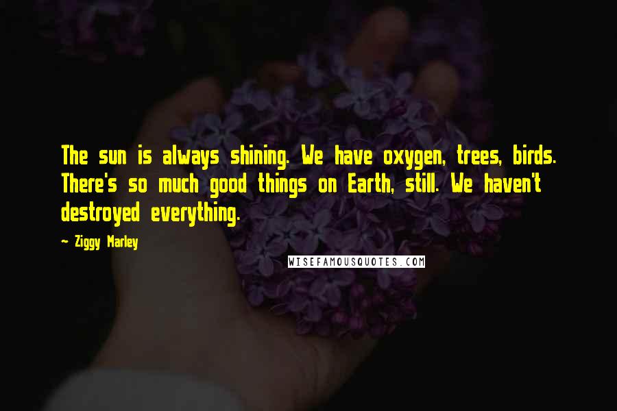 Ziggy Marley Quotes: The sun is always shining. We have oxygen, trees, birds. There's so much good things on Earth, still. We haven't destroyed everything.