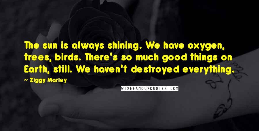 Ziggy Marley Quotes: The sun is always shining. We have oxygen, trees, birds. There's so much good things on Earth, still. We haven't destroyed everything.