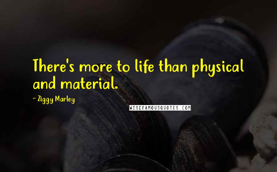 Ziggy Marley Quotes: There's more to life than physical and material.