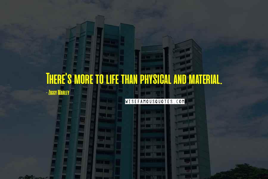 Ziggy Marley Quotes: There's more to life than physical and material.