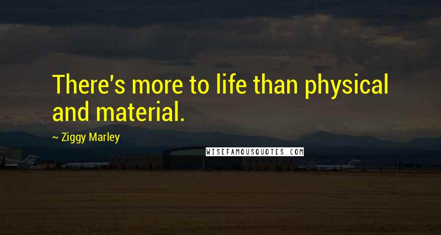 Ziggy Marley Quotes: There's more to life than physical and material.