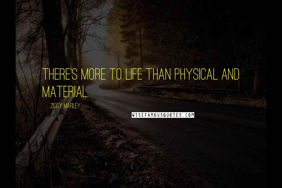 Ziggy Marley Quotes: There's more to life than physical and material.
