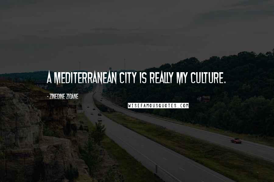 Zinedine Zidane Quotes: A Mediterranean city is really my culture.