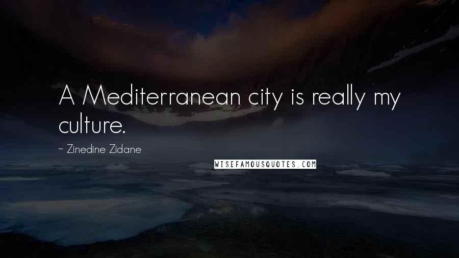 Zinedine Zidane Quotes: A Mediterranean city is really my culture.