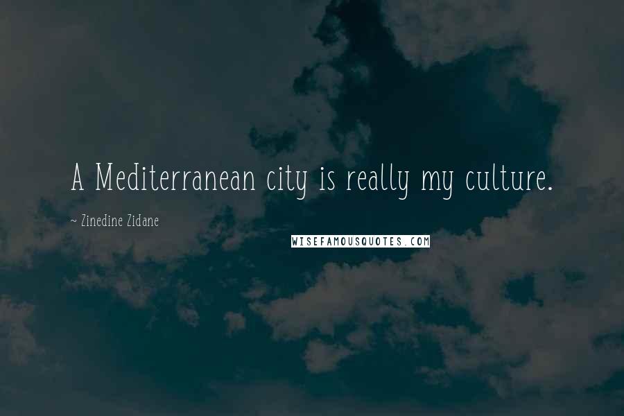 Zinedine Zidane Quotes: A Mediterranean city is really my culture.