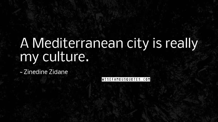 Zinedine Zidane Quotes: A Mediterranean city is really my culture.