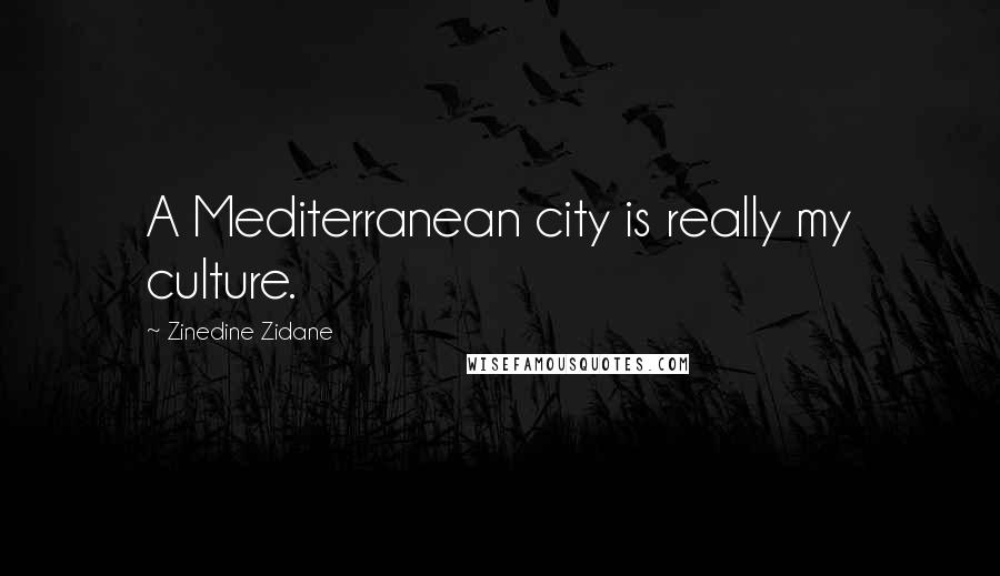 Zinedine Zidane Quotes: A Mediterranean city is really my culture.
