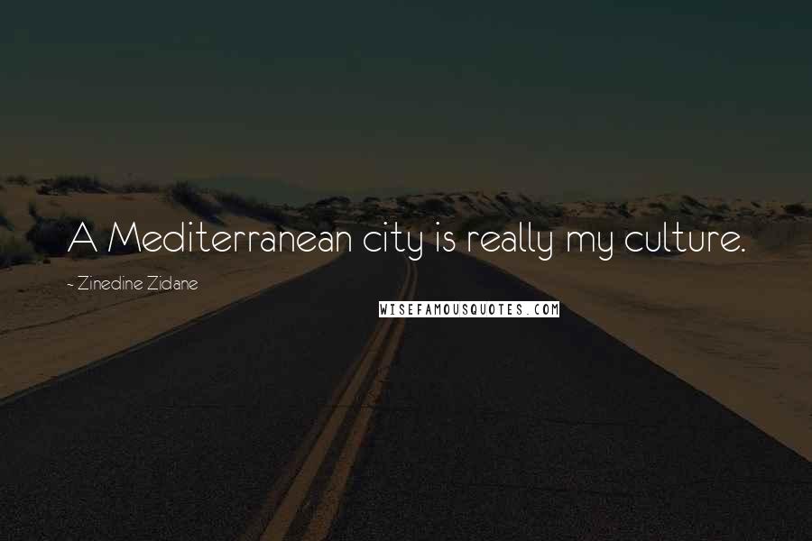 Zinedine Zidane Quotes: A Mediterranean city is really my culture.