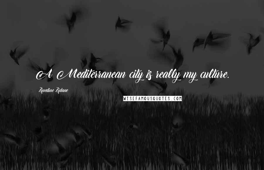 Zinedine Zidane Quotes: A Mediterranean city is really my culture.