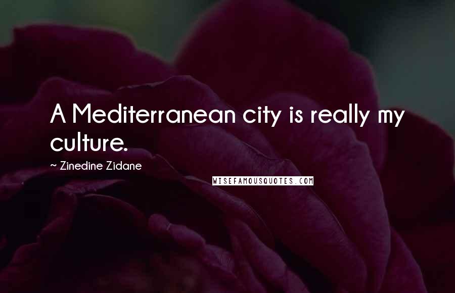 Zinedine Zidane Quotes: A Mediterranean city is really my culture.