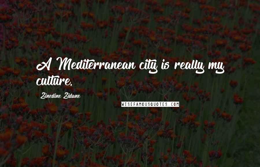 Zinedine Zidane Quotes: A Mediterranean city is really my culture.