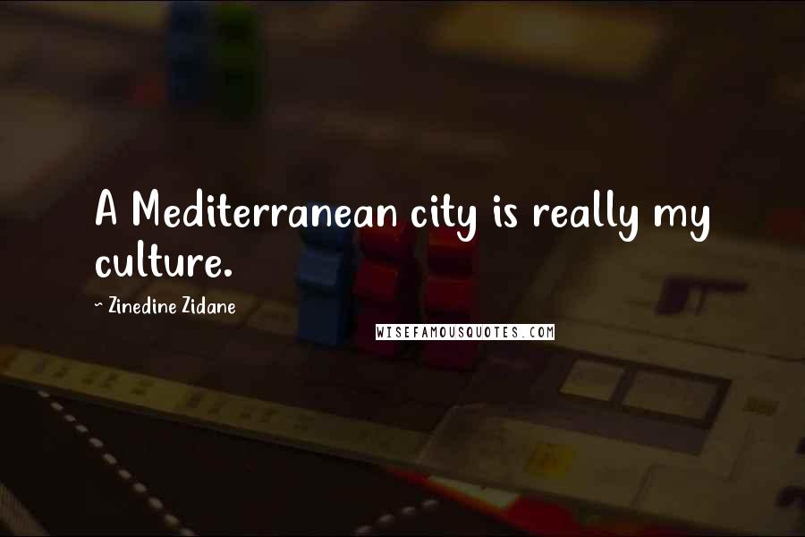 Zinedine Zidane Quotes: A Mediterranean city is really my culture.