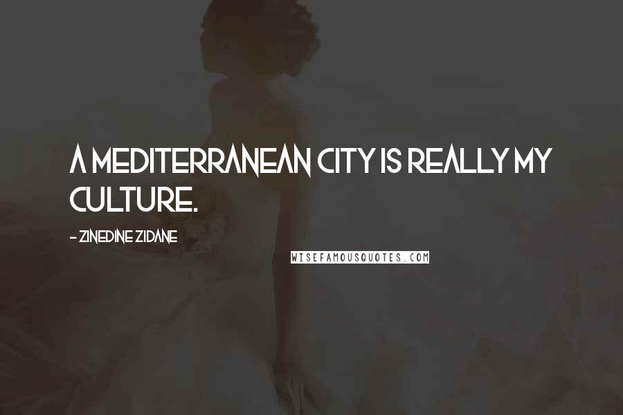 Zinedine Zidane Quotes: A Mediterranean city is really my culture.