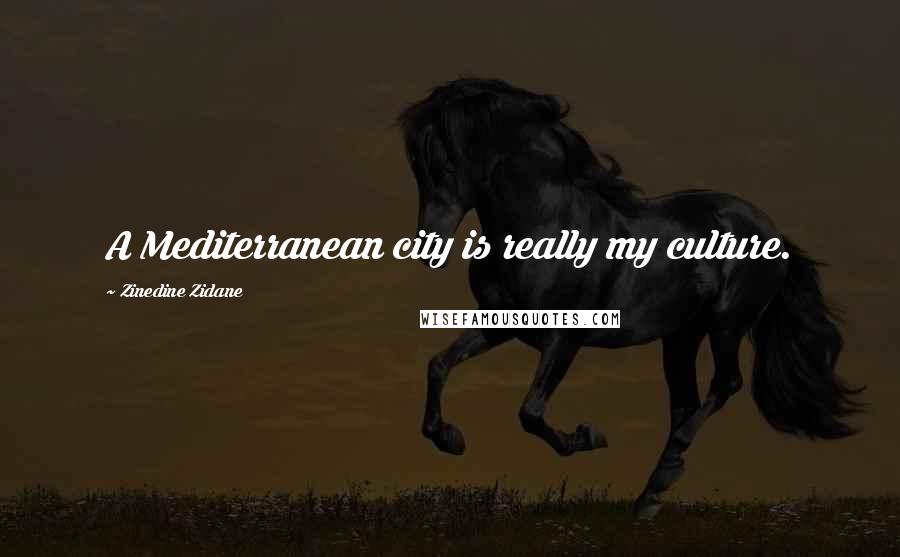 Zinedine Zidane Quotes: A Mediterranean city is really my culture.