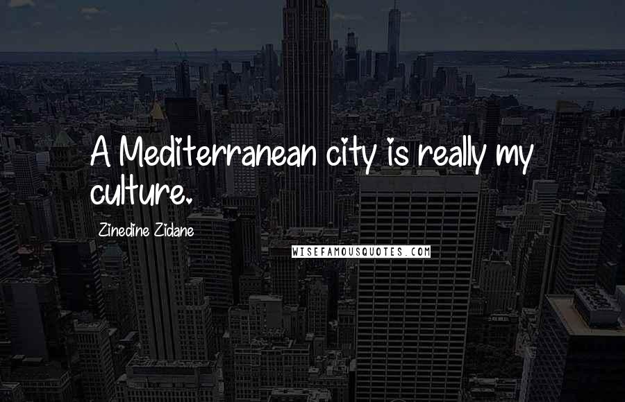 Zinedine Zidane Quotes: A Mediterranean city is really my culture.