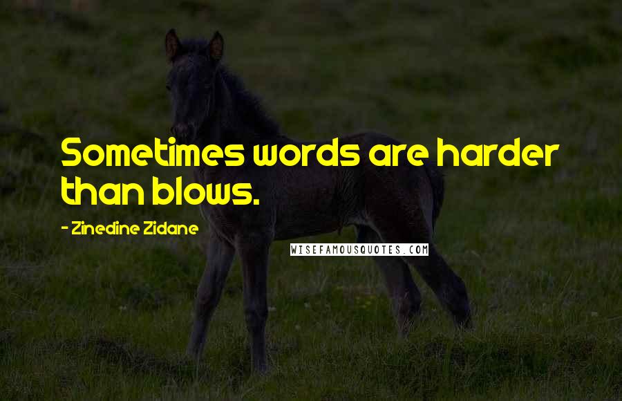 Zinedine Zidane Quotes: Sometimes words are harder than blows.