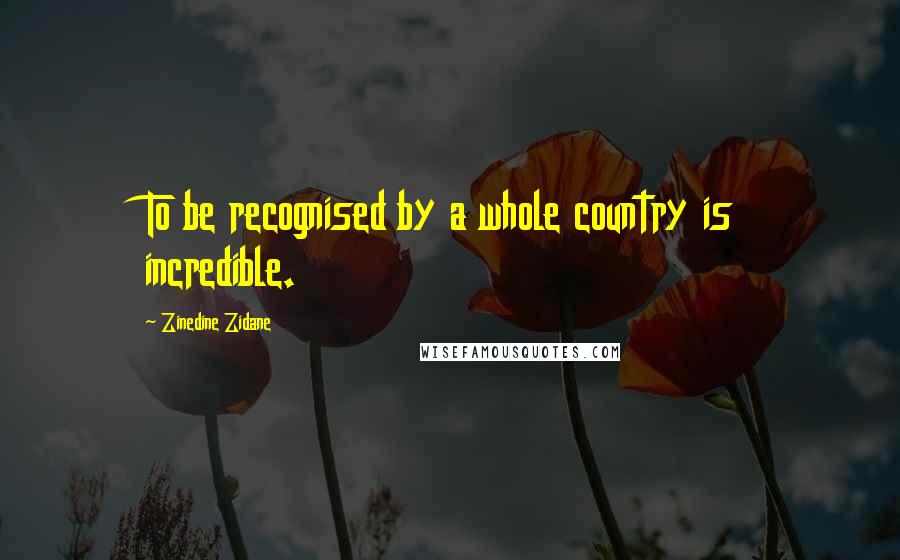 Zinedine Zidane Quotes: To be recognised by a whole country is incredible.