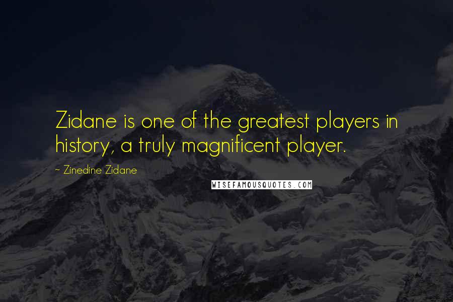 Zinedine Zidane Quotes: Zidane is one of the greatest players in history, a truly magnificent player.