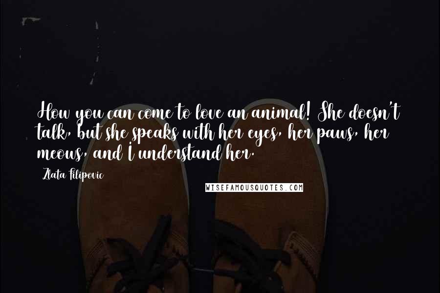 Zlata Filipovic Quotes: How you can come to love an animal! She doesn't talk, but she speaks with her eyes, her paws, her meows, and I understand her.