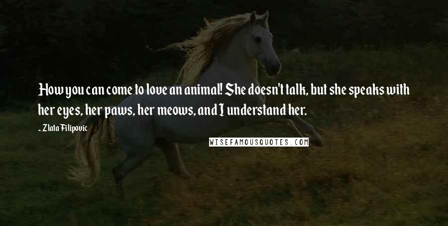 Zlata Filipovic Quotes: How you can come to love an animal! She doesn't talk, but she speaks with her eyes, her paws, her meows, and I understand her.