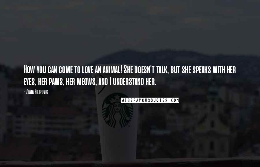Zlata Filipovic Quotes: How you can come to love an animal! She doesn't talk, but she speaks with her eyes, her paws, her meows, and I understand her.