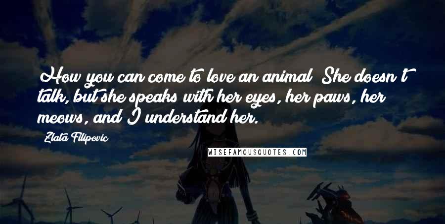 Zlata Filipovic Quotes: How you can come to love an animal! She doesn't talk, but she speaks with her eyes, her paws, her meows, and I understand her.