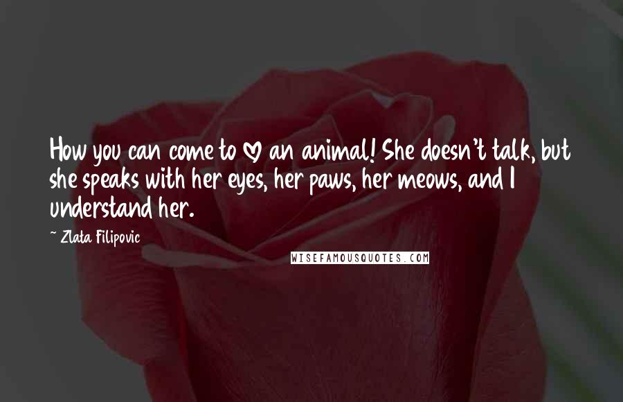 Zlata Filipovic Quotes: How you can come to love an animal! She doesn't talk, but she speaks with her eyes, her paws, her meows, and I understand her.