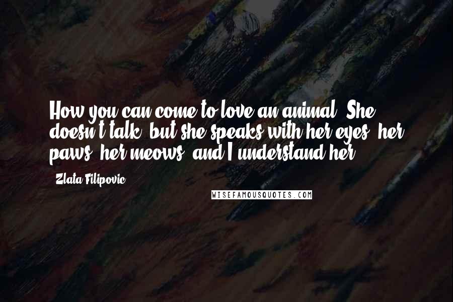 Zlata Filipovic Quotes: How you can come to love an animal! She doesn't talk, but she speaks with her eyes, her paws, her meows, and I understand her.