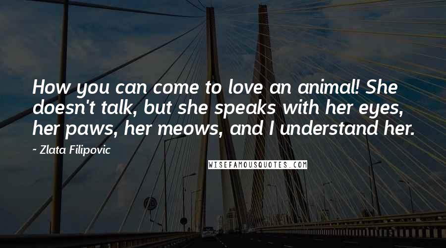 Zlata Filipovic Quotes: How you can come to love an animal! She doesn't talk, but she speaks with her eyes, her paws, her meows, and I understand her.