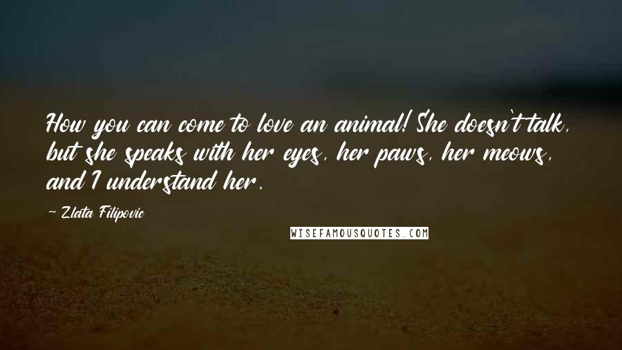 Zlata Filipovic Quotes: How you can come to love an animal! She doesn't talk, but she speaks with her eyes, her paws, her meows, and I understand her.